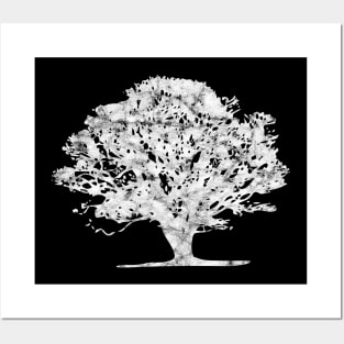 Natural-Woodman' Cool Oak Tree Posters and Art